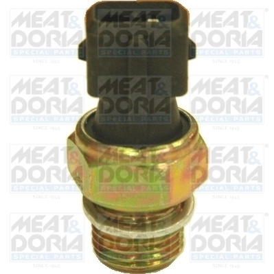 Oil Pressure Switch